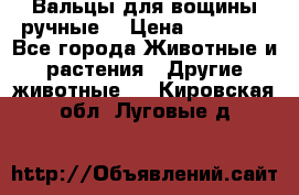Вальцы для вощины ручные  › Цена ­ 10 000 - Все города Животные и растения » Другие животные   . Кировская обл.,Луговые д.